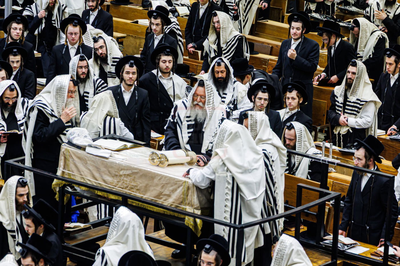 האדמו"ר מבאבוב בעליה לתורה ער"ה