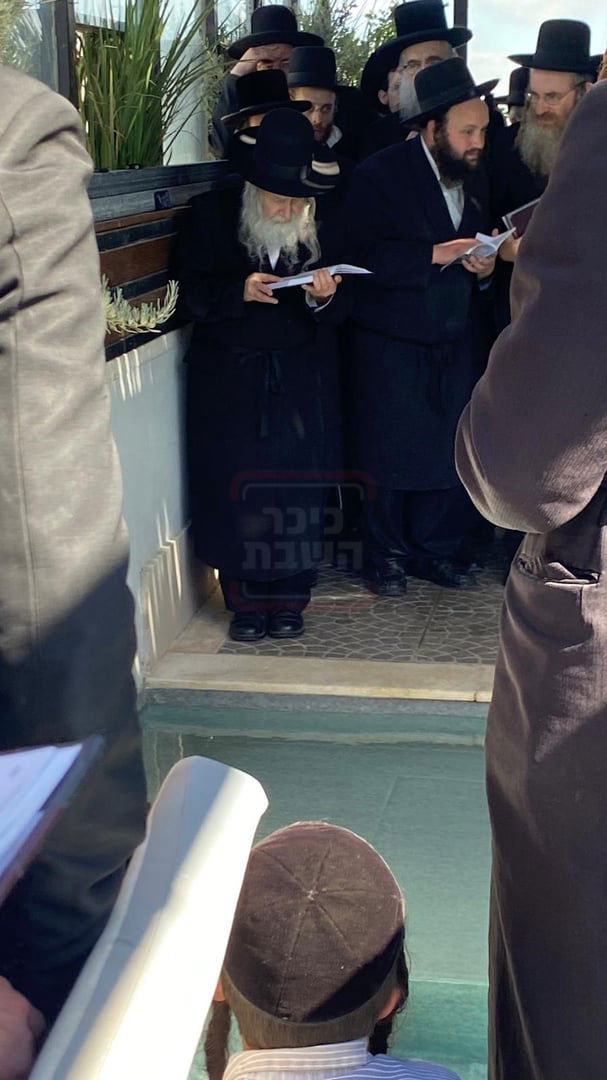 האדמו"ר מאמשינוב בתשליך