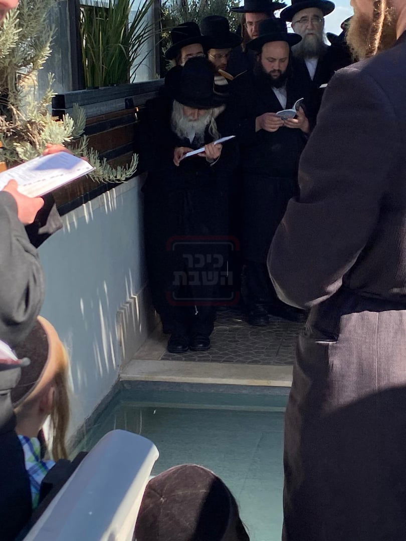 האדמו"ר מאמשינוב בתשליך