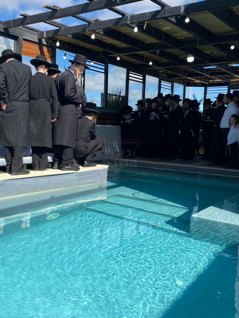 האדמו"ר מאמשינוב בתשליך