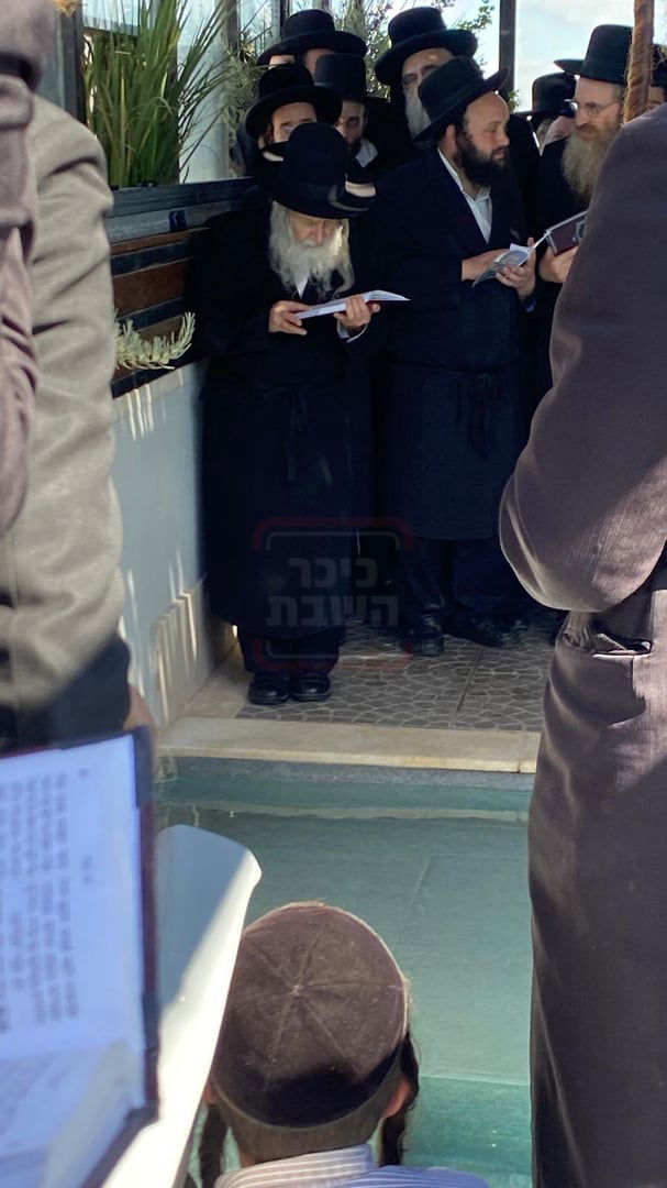 האדמו"ר מאמשינוב בתשליך