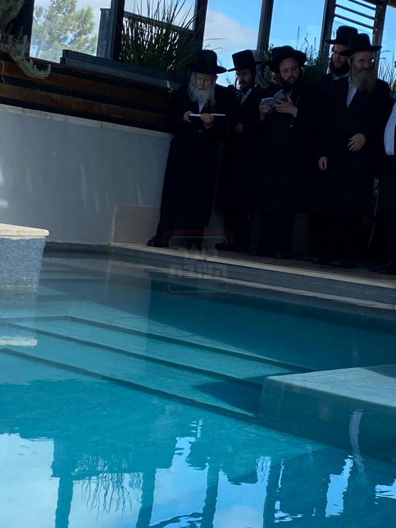 האדמו"ר מאמשינוב בתשליך