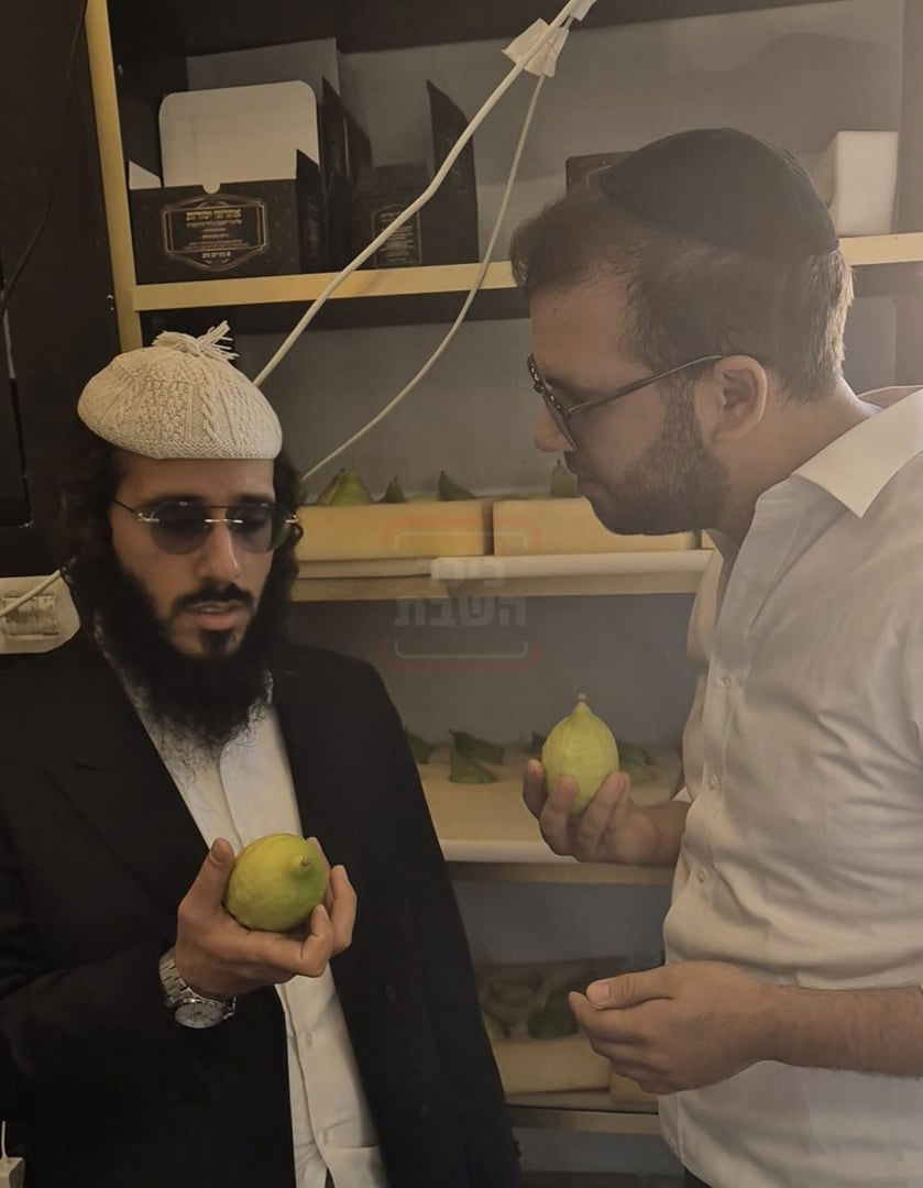 הסנדק המיליארדר | 'זופניק בכיכר' עם כל התמונות, הנייעס והחשיפות של השבוע