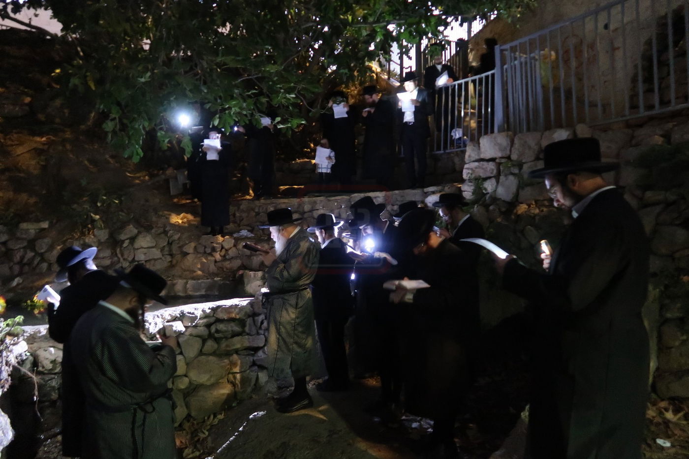 הרבי ממבקשי אמונה באמירת תשליך במעיין במברשת ציון