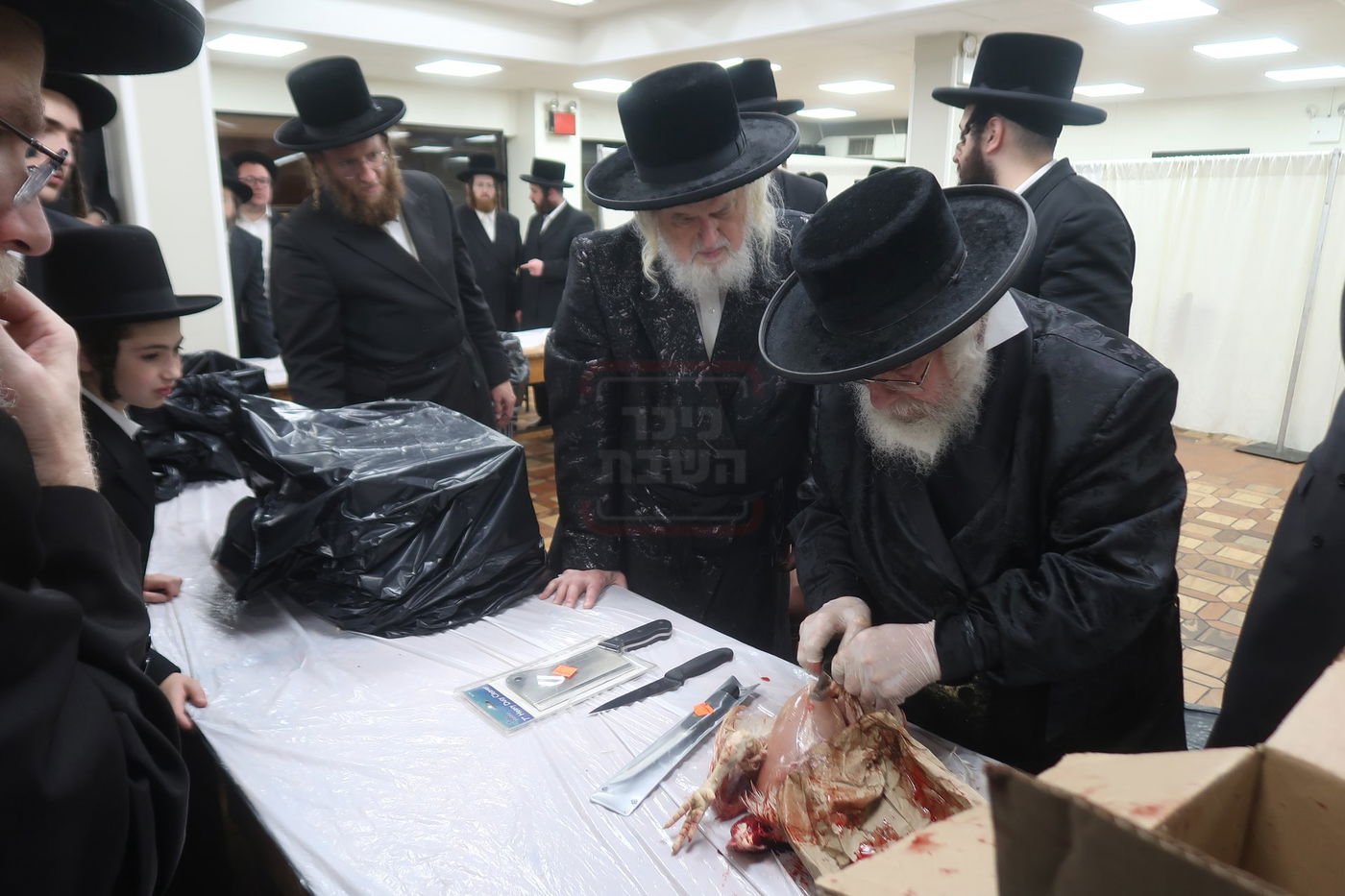 ערב יום כיפור בחצה"ק מונקאטש