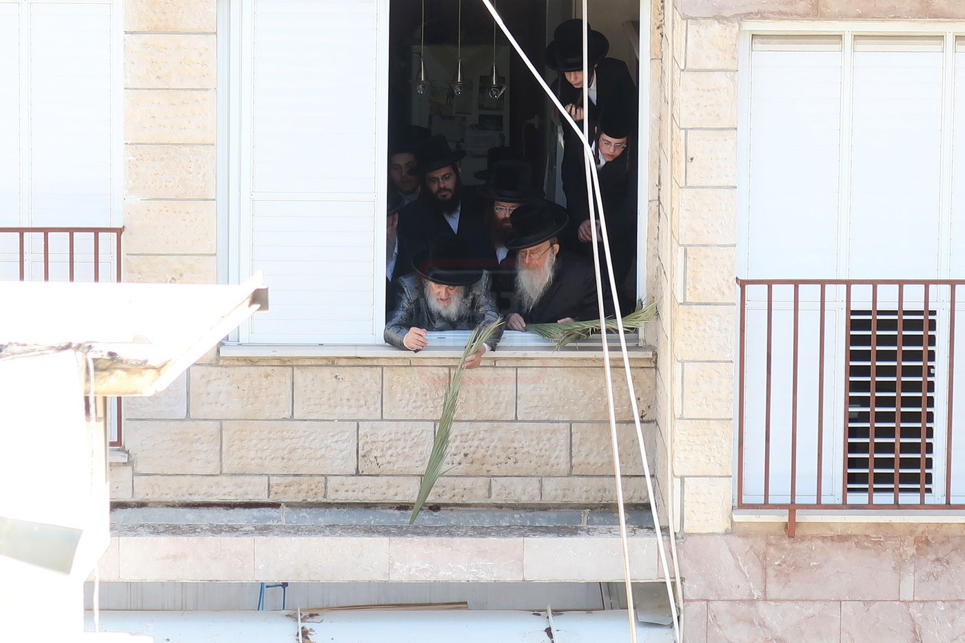 האדמו"ר מויז'ניץ בהנחת סכך ערב סוכות