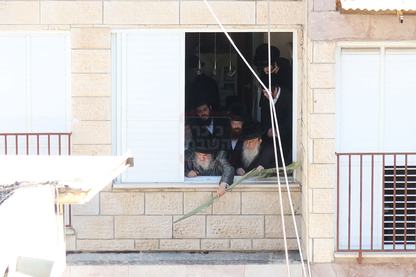 האדמו"ר מויז'ניץ בהנחת סכך ערב סוכות