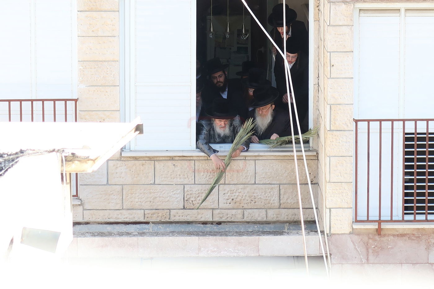 האדמו"ר מויז'ניץ בהנחת סכך ערב סוכות