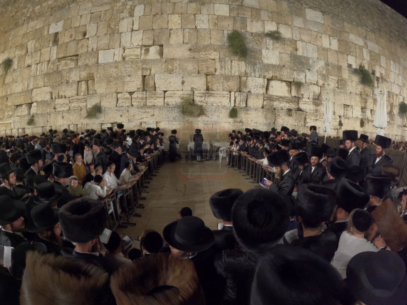 האדמו"ר ממודז'יץ בתפילה ע"י ה'כותל המערבי'