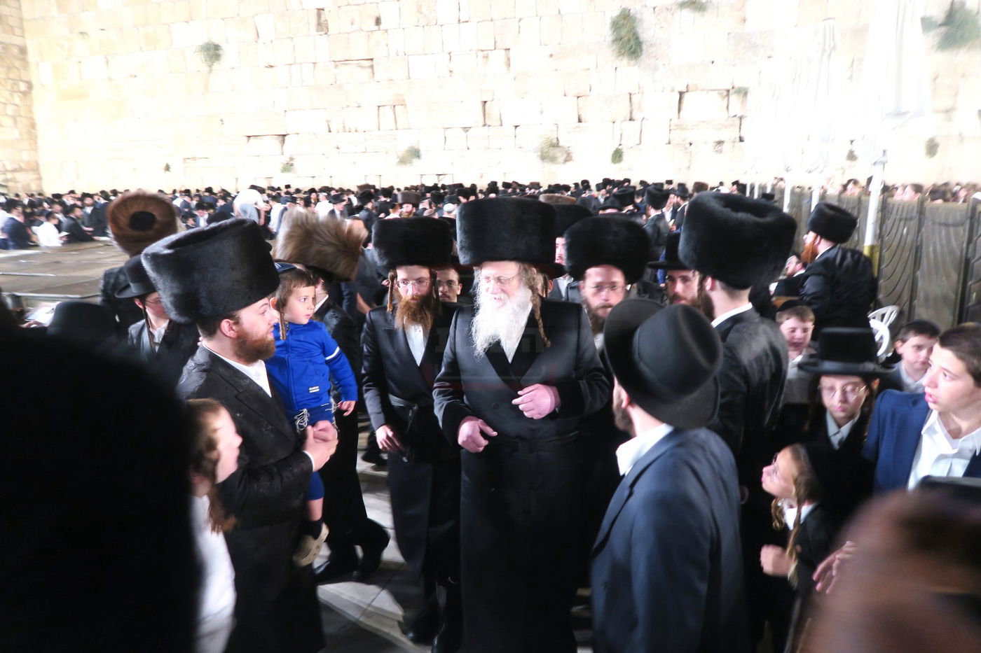 האדמו"ר ממודז'יץ בתפילה ע"י ה'כותל המערבי'