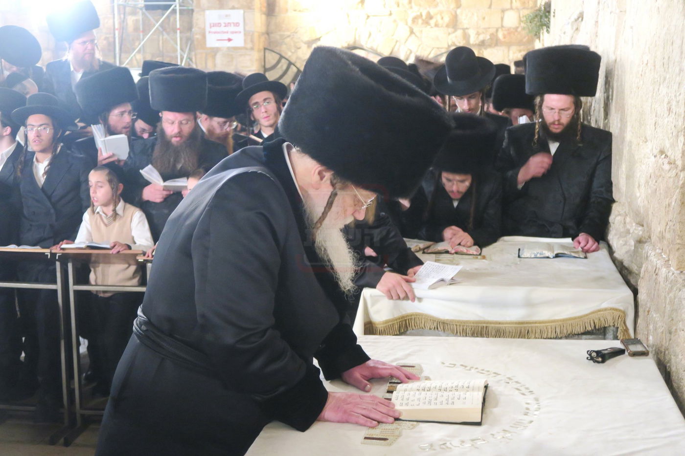 האדמו"ר ממודז'יץ בתפילה ע"י ה'כותל המערבי'