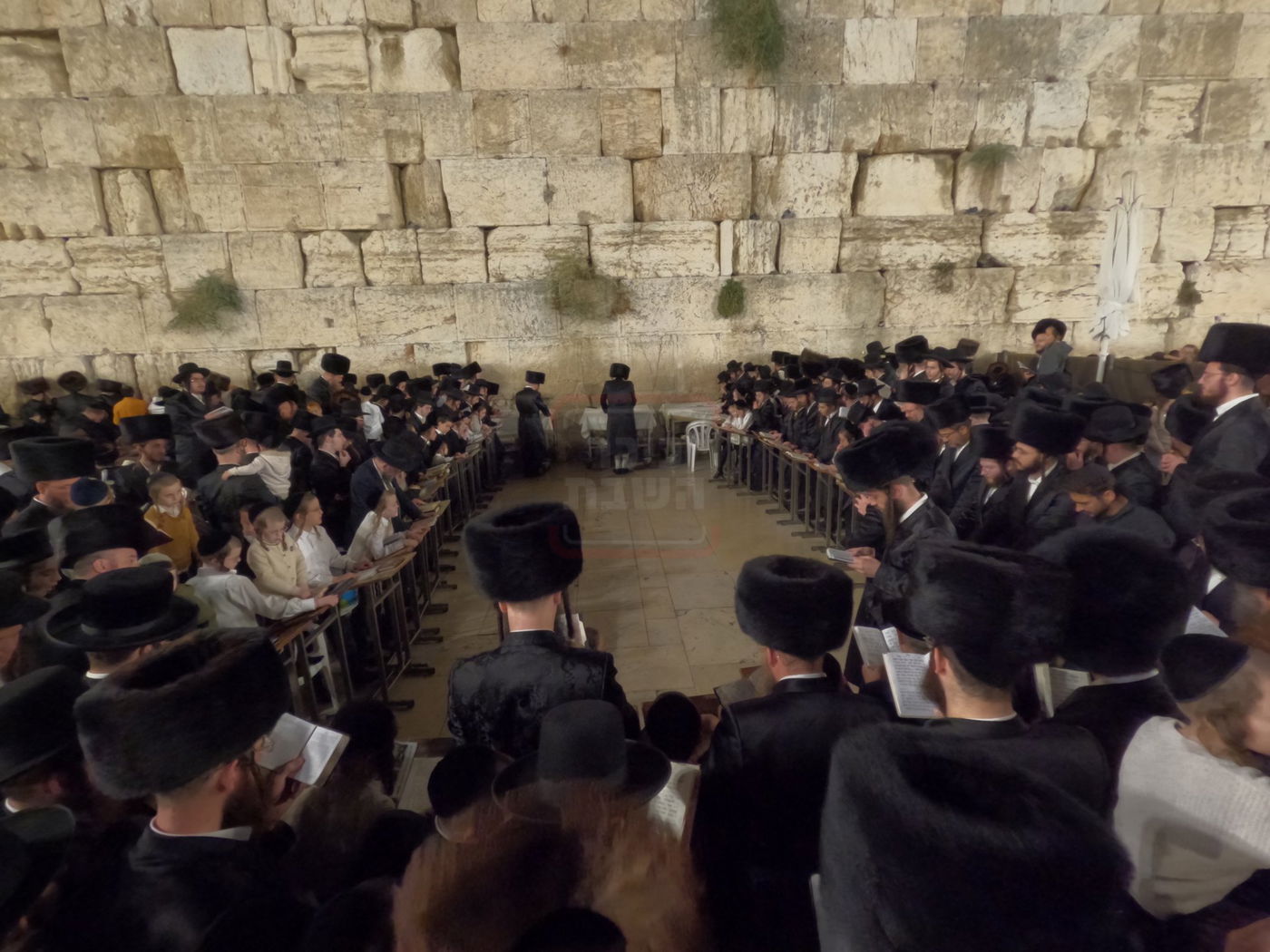 האדמו"ר ממודז'יץ בתפילה ע"י ה'כותל המערבי'