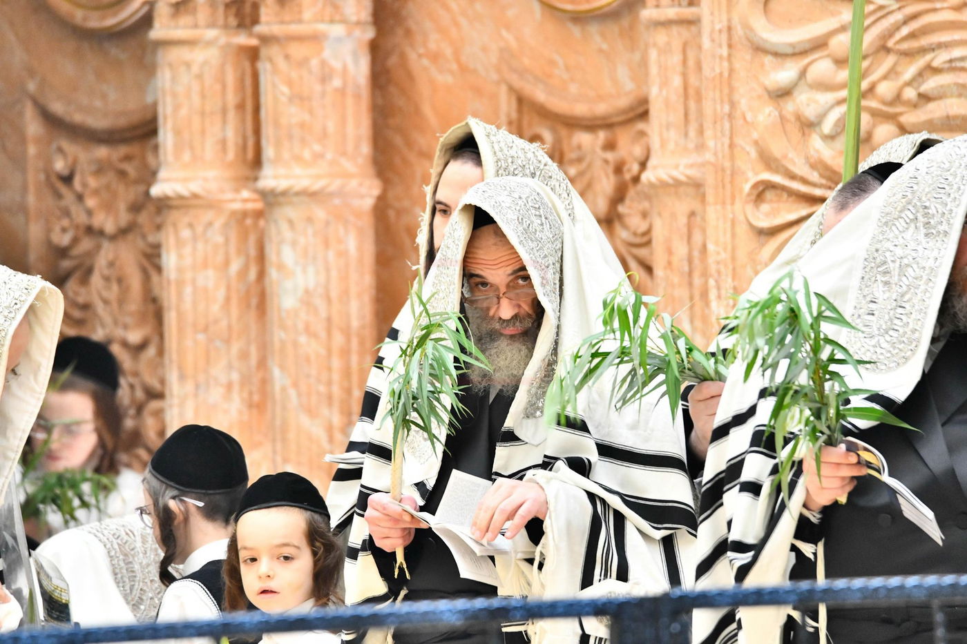 הושענא רבה בחצה"ק ויז'ניץ