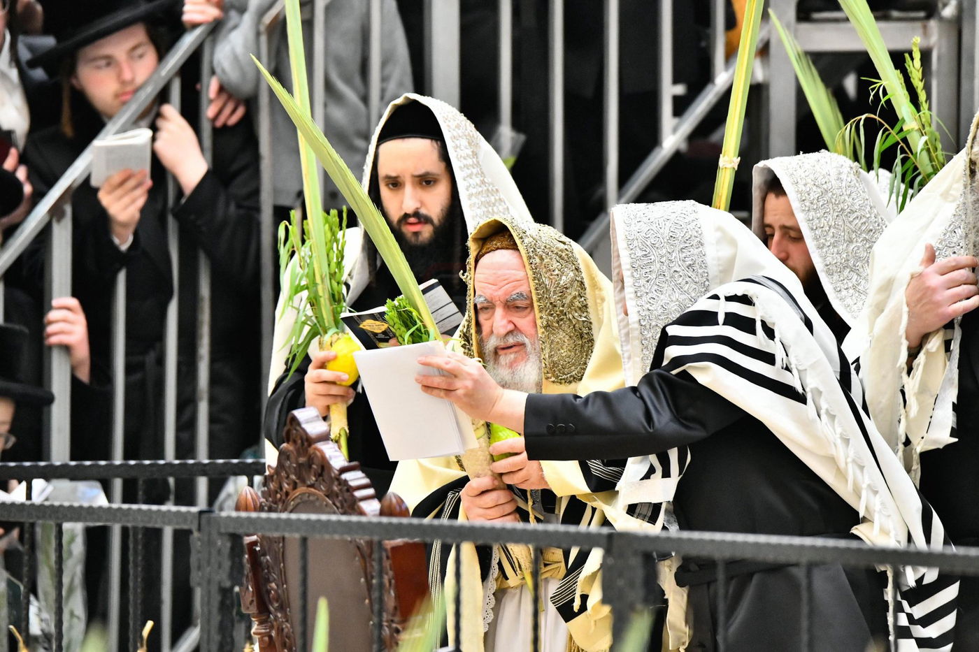 הושענא רבה בחצה"ק ויז'ניץ