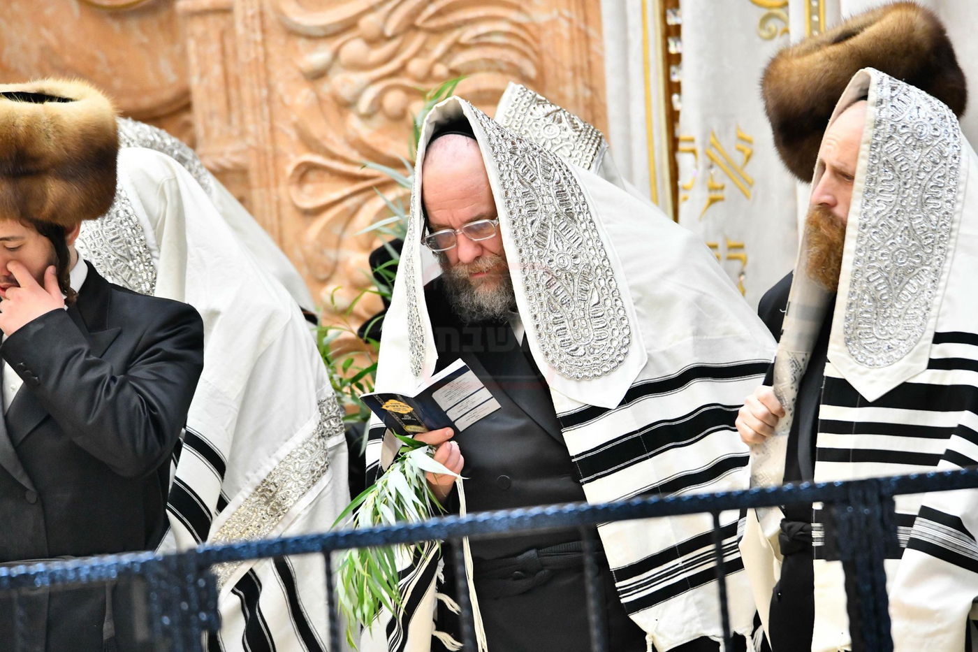 הושענא רבה בחצה"ק ויז'ניץ