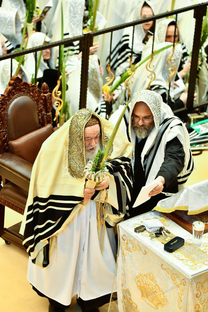 הושענא רבה בחצה"ק ויז'ניץ