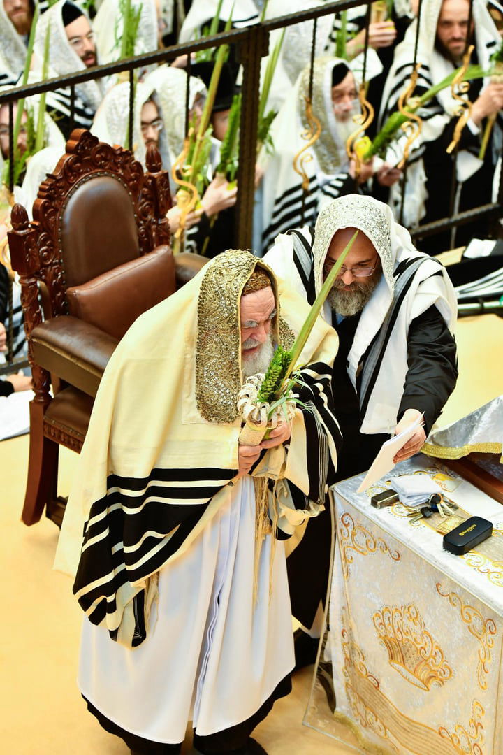 הושענא רבה בחצה"ק ויז'ניץ