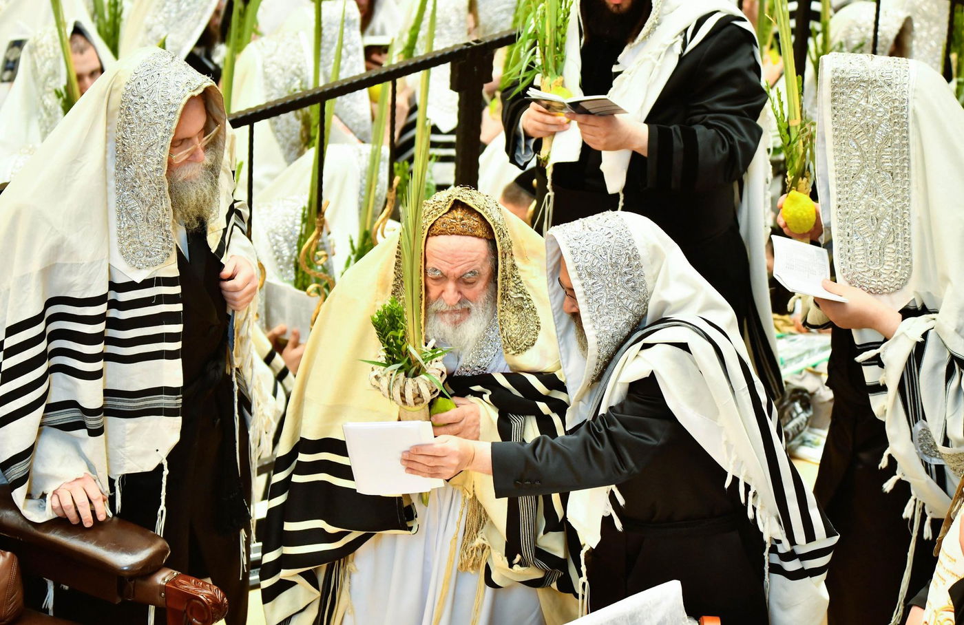 הושענא רבה בחצה"ק ויז'ניץ