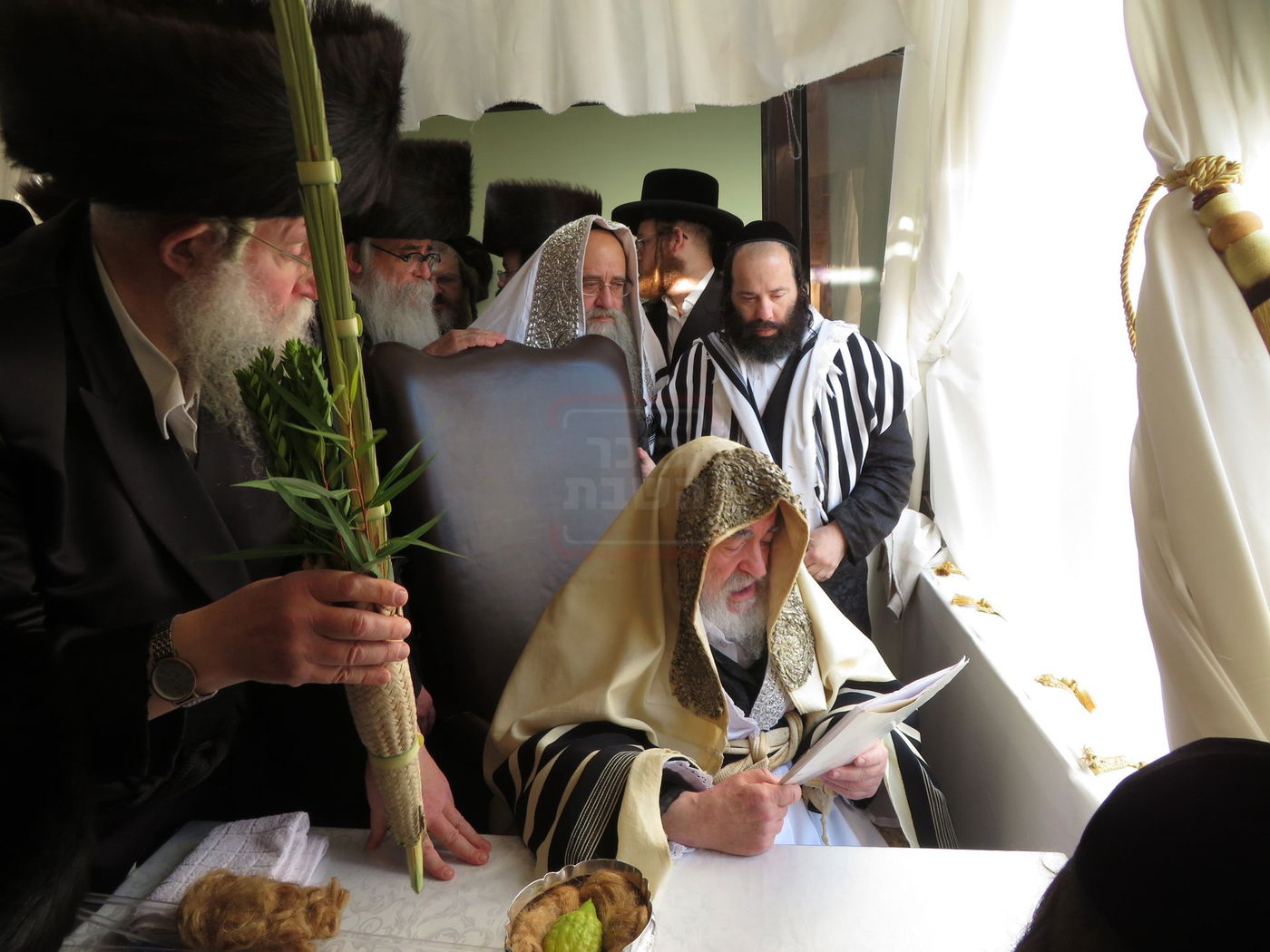 האדמו"ר מויז'ניץ בנענועים לפני התפילה בהושענא רבה