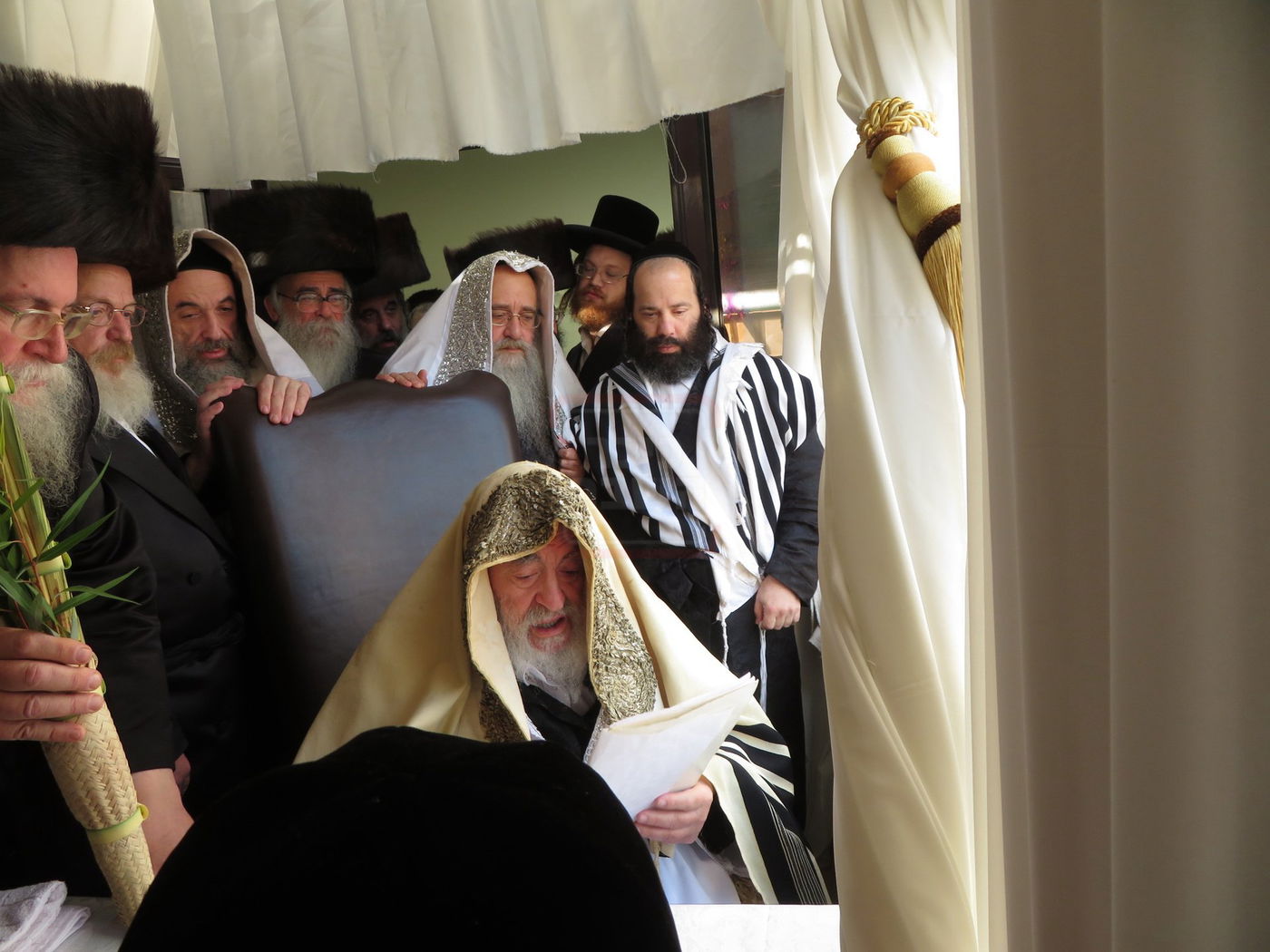 האדמו"ר מויז'ניץ בנענועים לפני התפילה בהושענא רבה