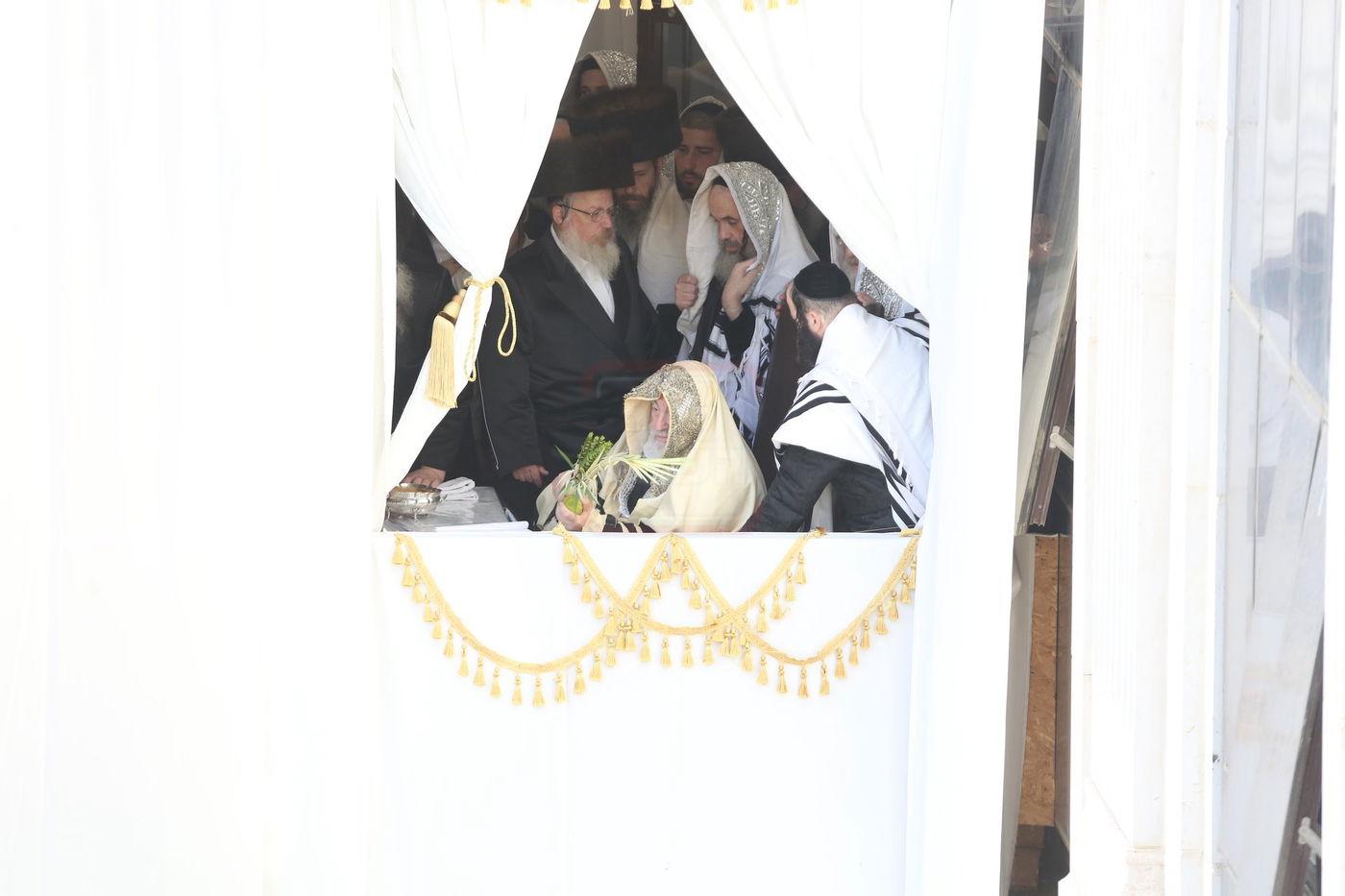 הושענא רבה בחצה"ק ויז'ניץ