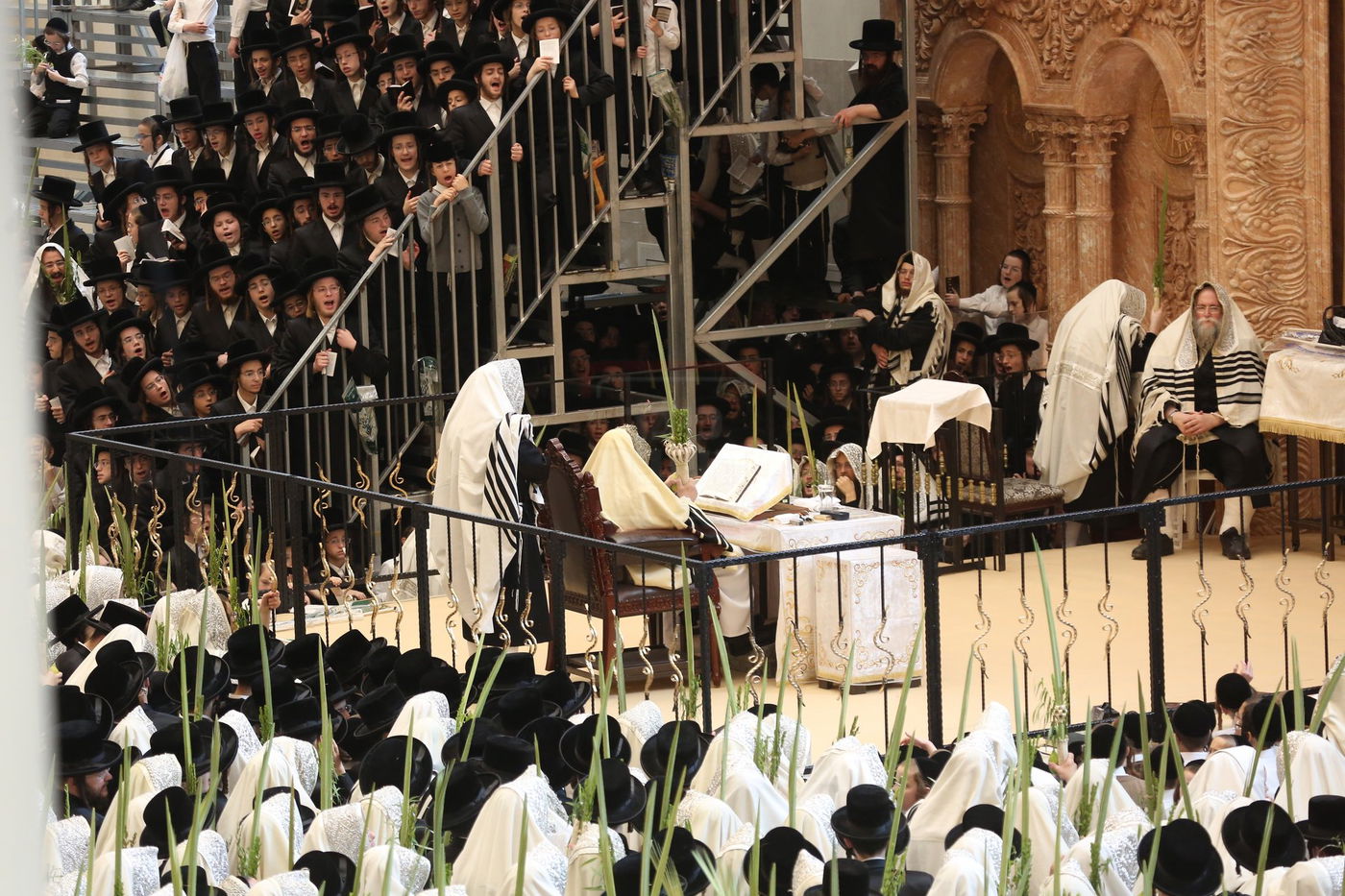 הושענא רבה בחצה"ק ויז'ניץ