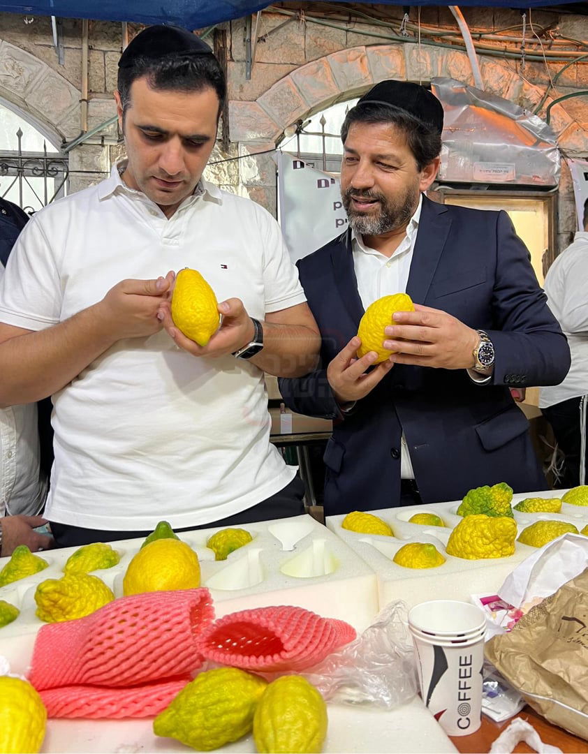 הטיסה החשאית לארה"ב | 'זופניק בכיכר' עם כל התמונות, הנייעס והחשיפות של השבוע