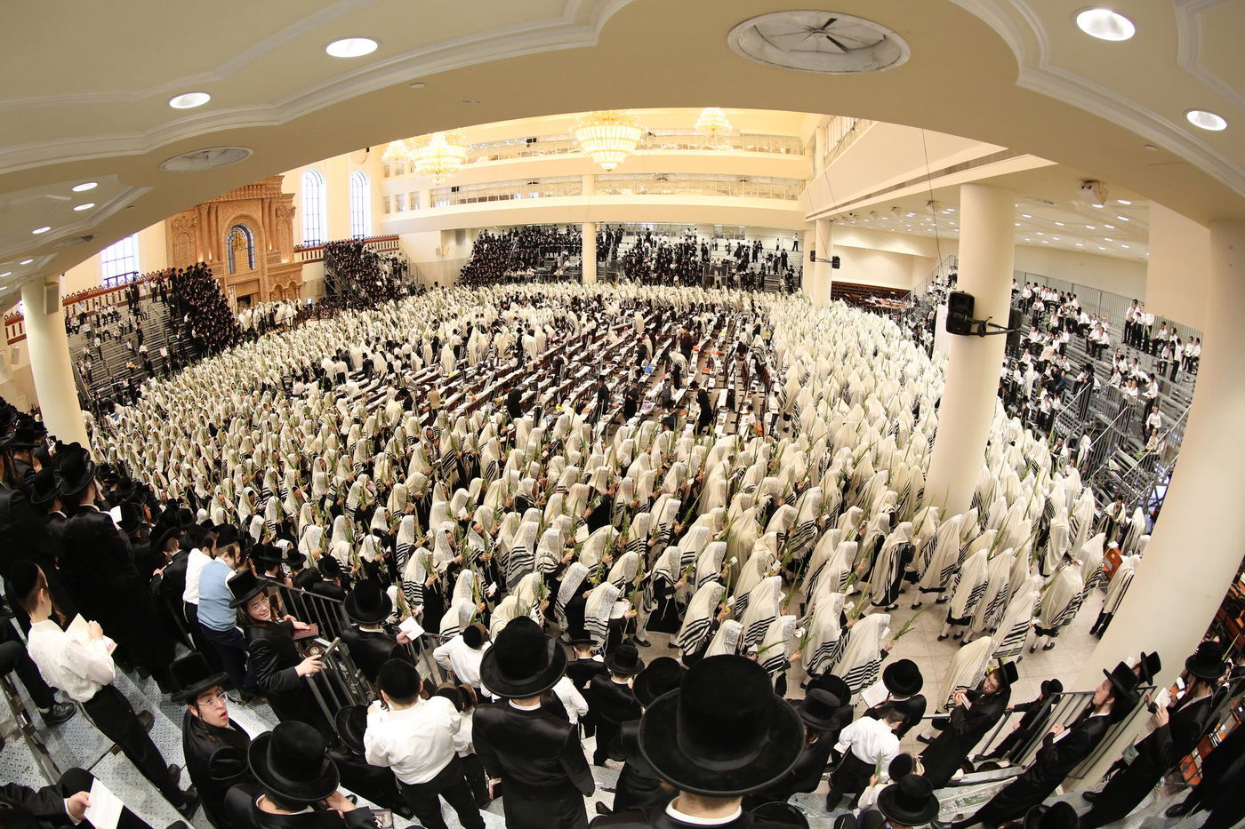 הושענא רבה בחצה"ק ויז'ניץ