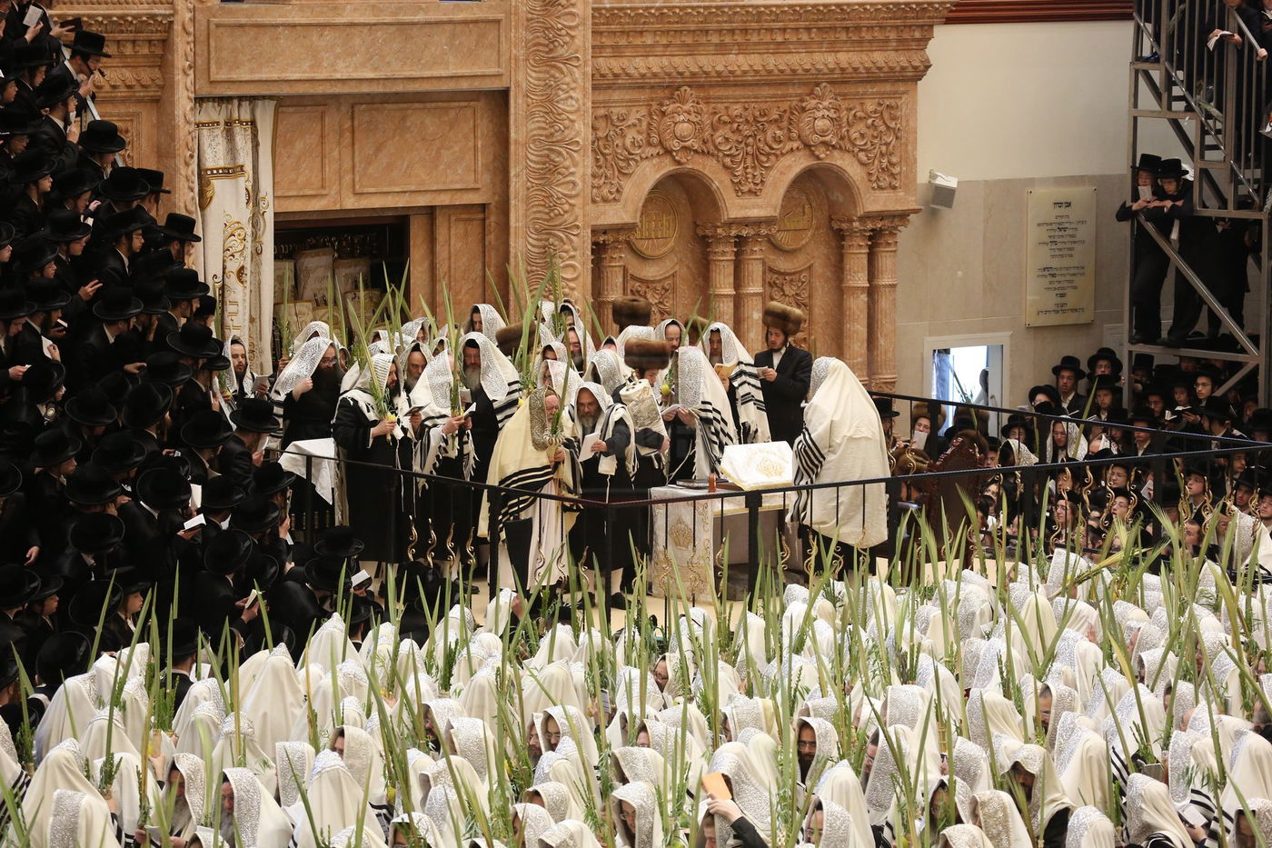 הושענא רבה בחצה"ק ויז'ניץ