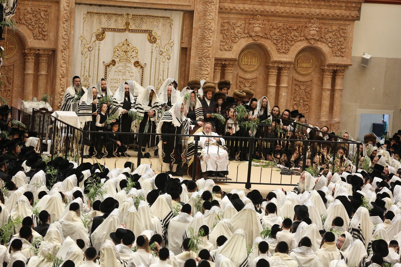 הושענא רבה בחצה"ק ויז'ניץ