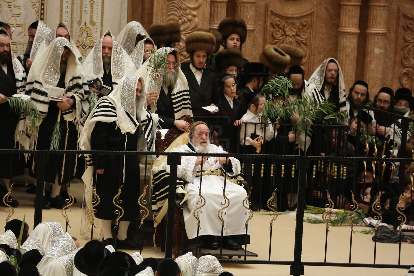 הושענא רבה בחצה"ק ויז'ניץ