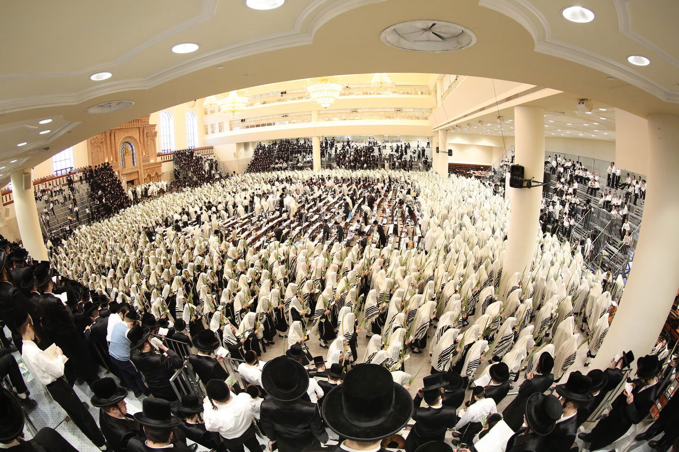 הושענא רבה בחצה"ק ויז'ניץ