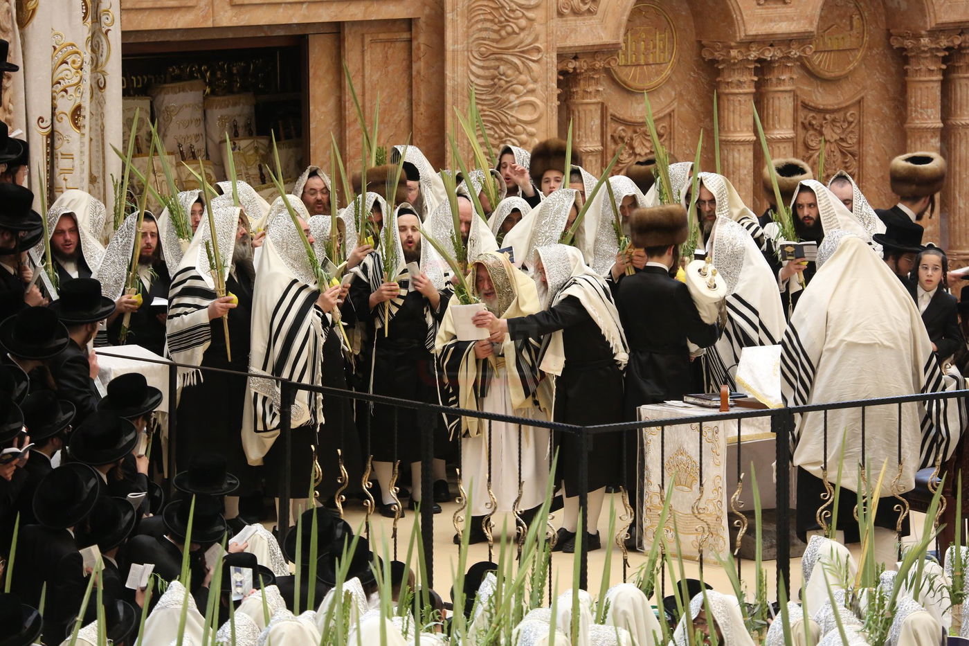 הושענא רבה בחצה"ק ויז'ניץ