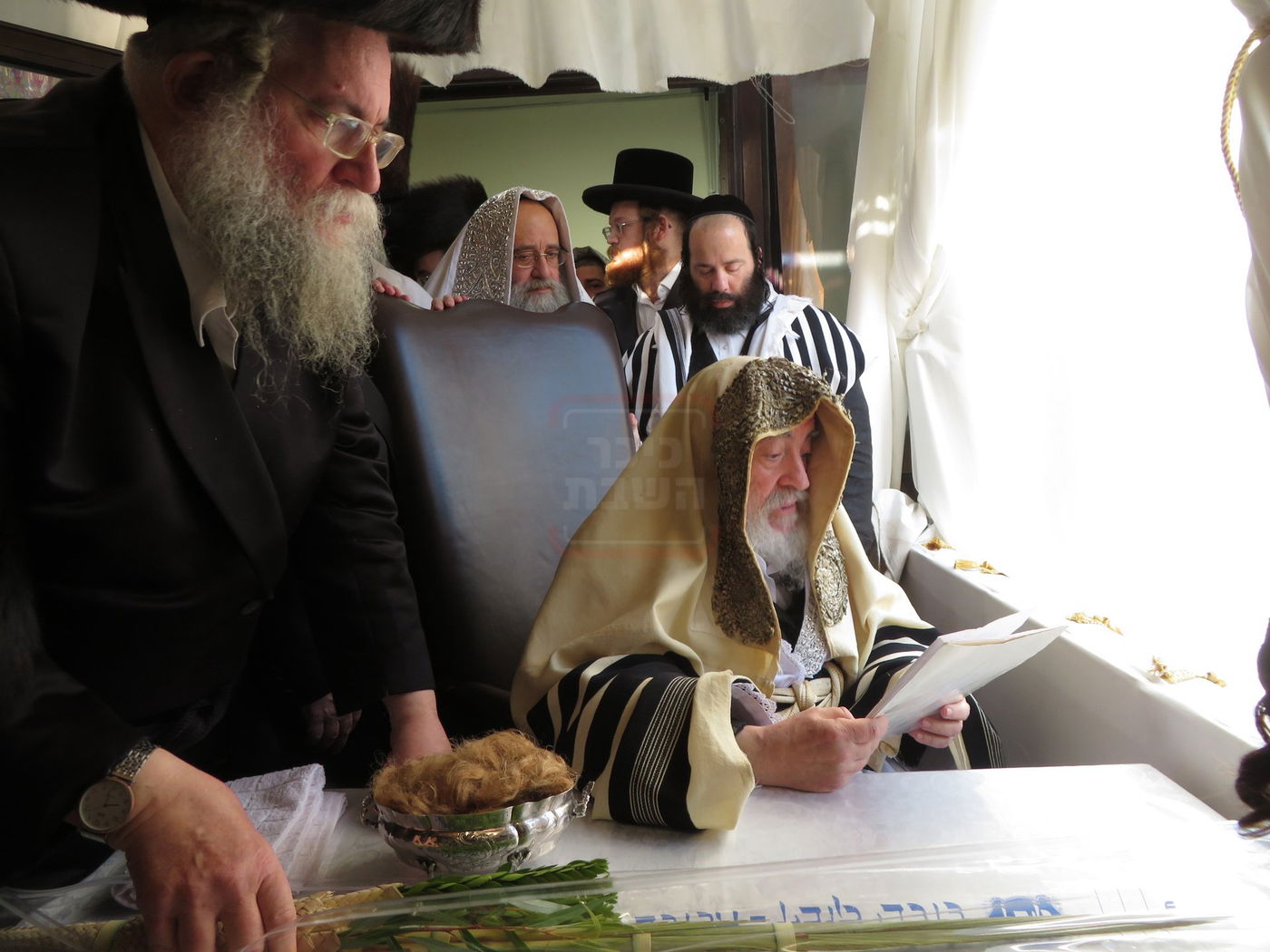 האדמו"ר מויז'ניץ בנענועים לפני התפילה בהושענא רבה