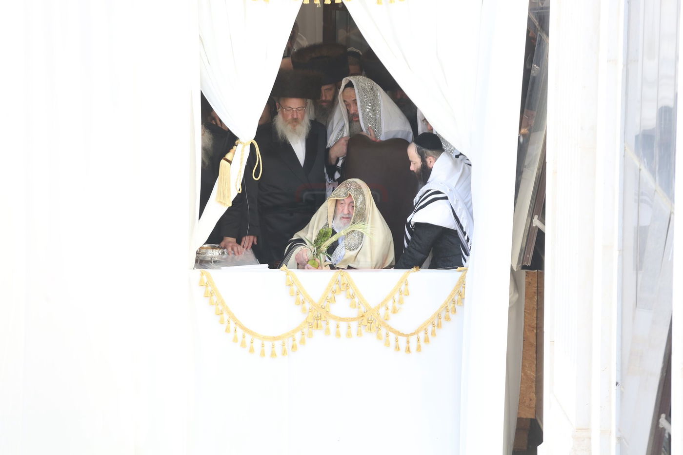 הושענא רבה בחצה"ק ויז'ניץ