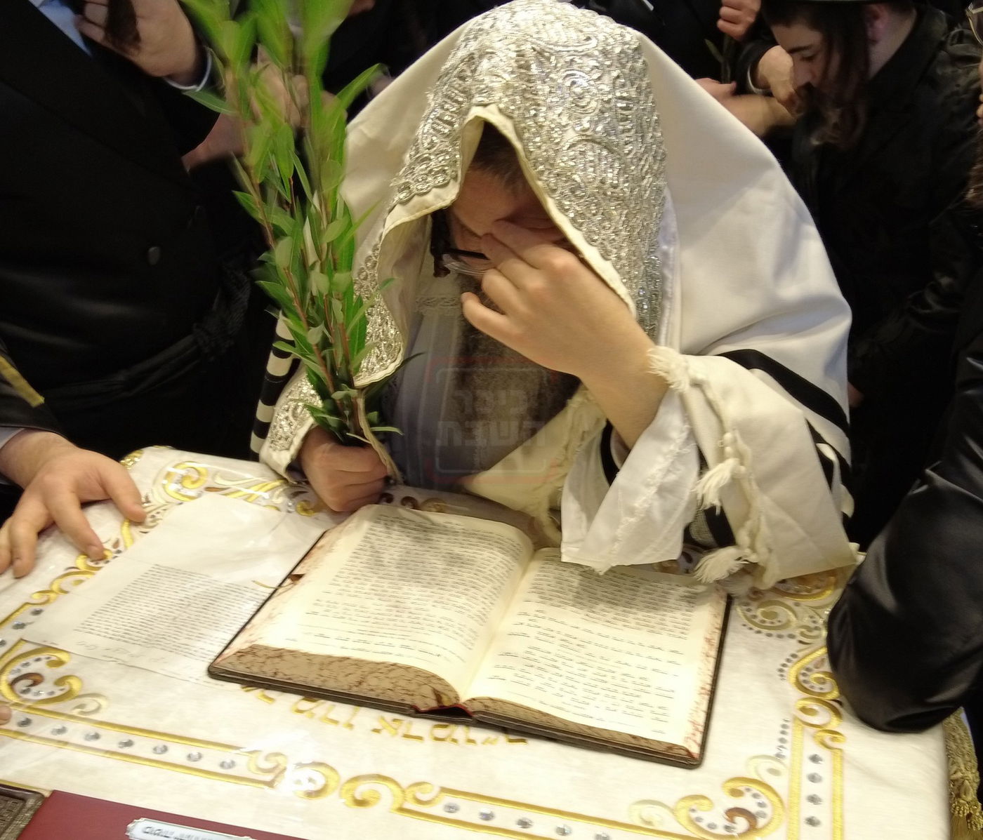 האדמו"ר מסקולען לייקווד בחביטת הערבות