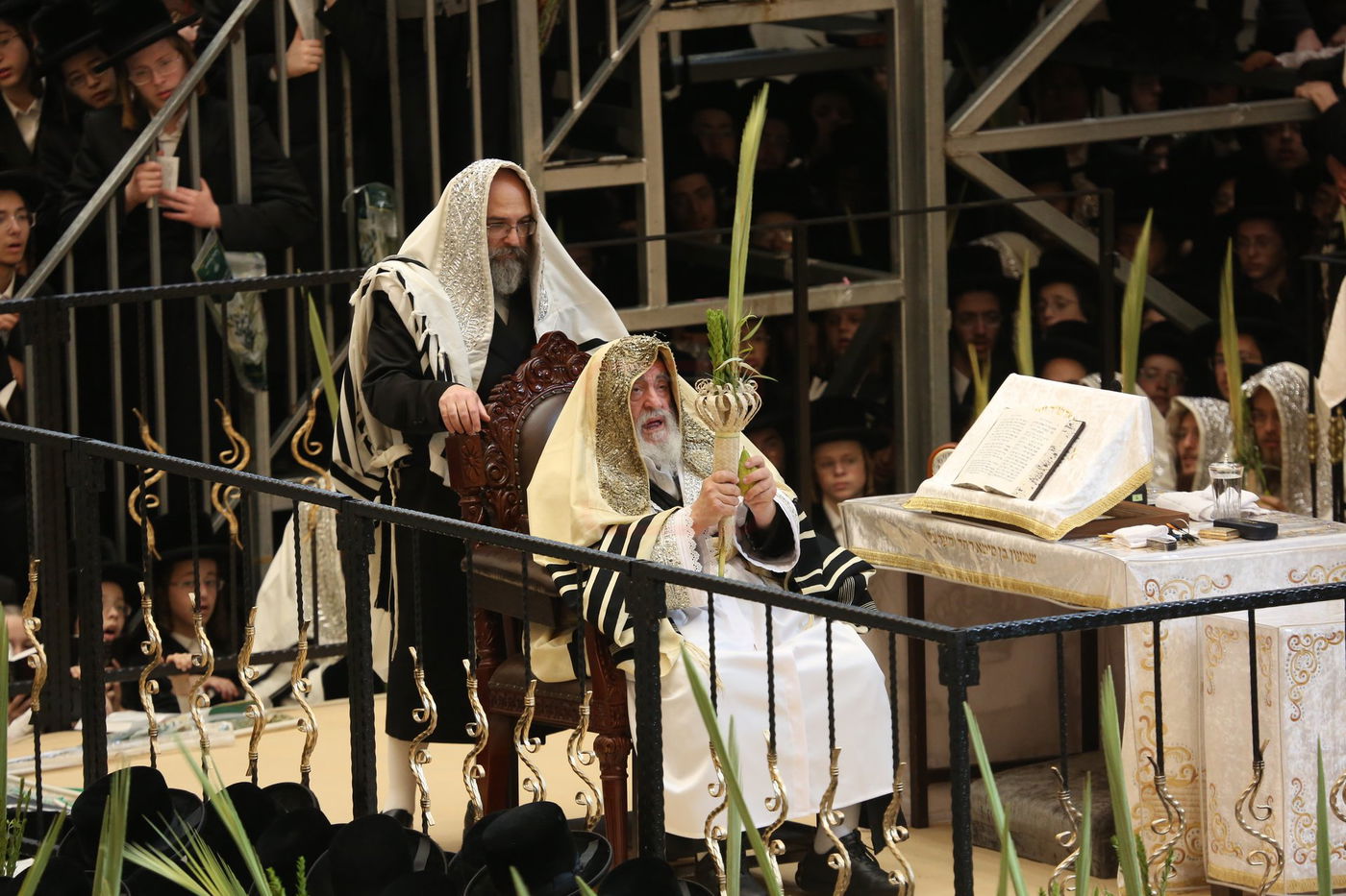 הושענא רבה בחצה"ק ויז'ניץ