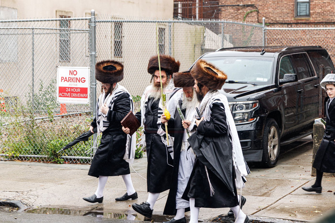 הושענא רבה בחצה"ק באבוב