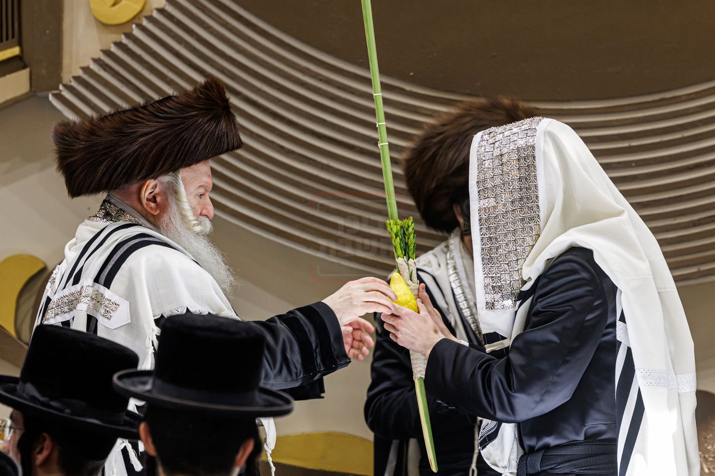 חג הסוכות ושמחת תורה בחצה"ק באבוב