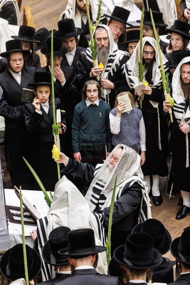 חג הסוכות ושמחת תורה בחצה"ק באבוב