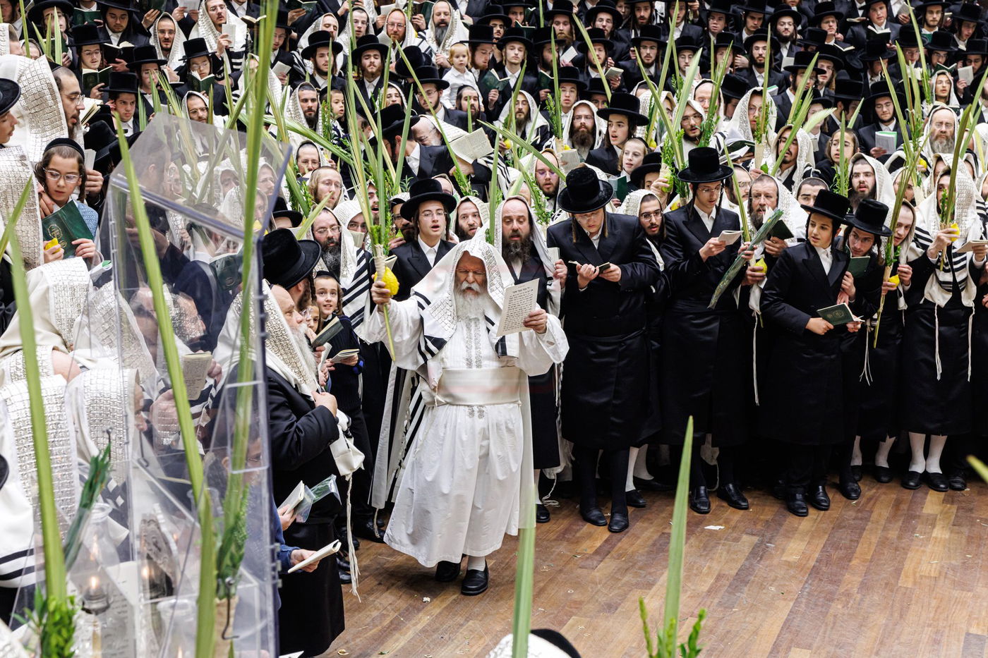 הושענא רבה בחצה"ק באבוב