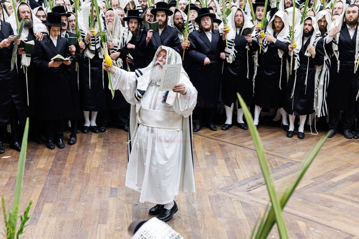 הושענא רבה בחצה"ק באבוב