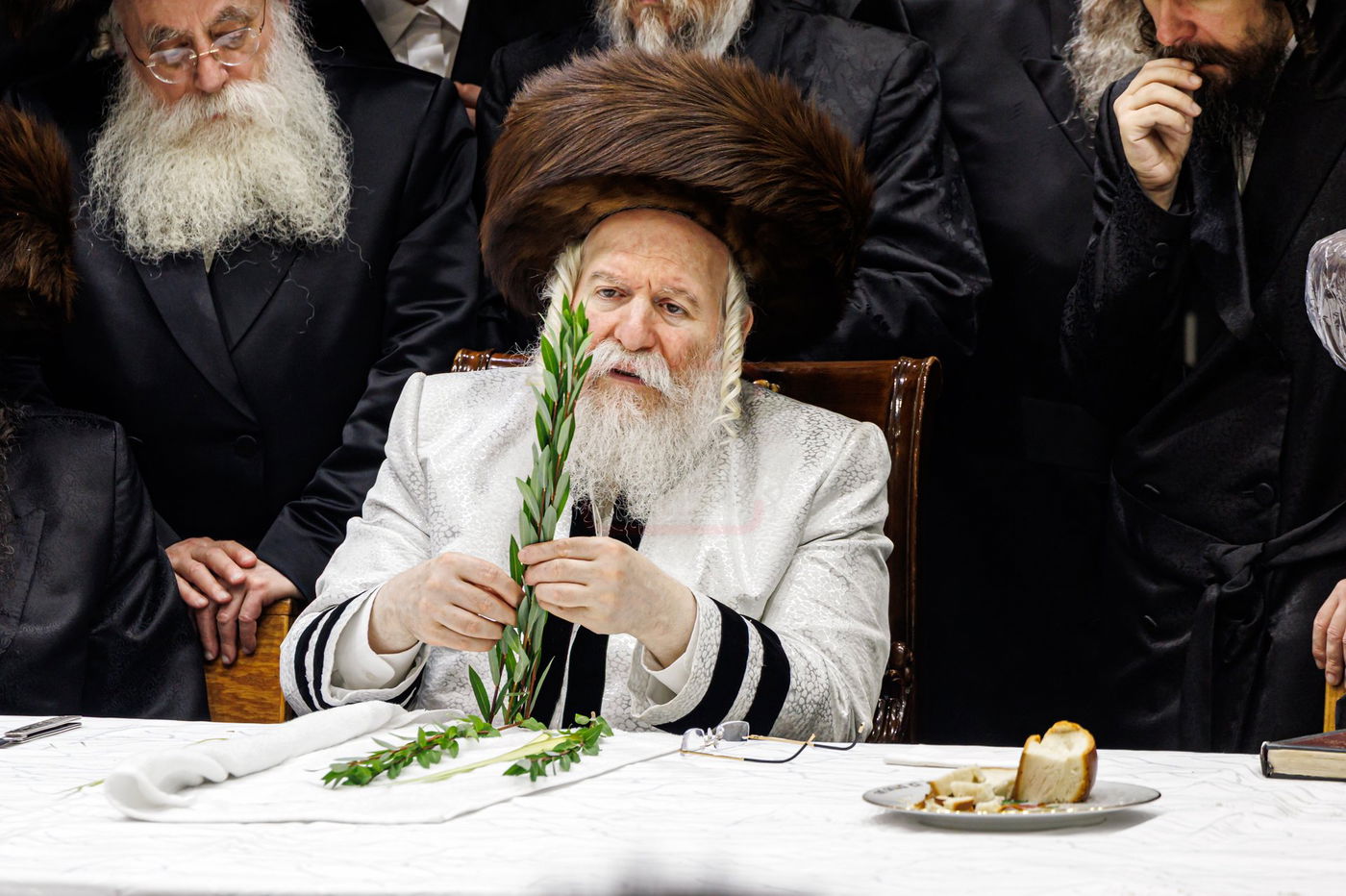 הושענא רבה בחצה"ק באבוב