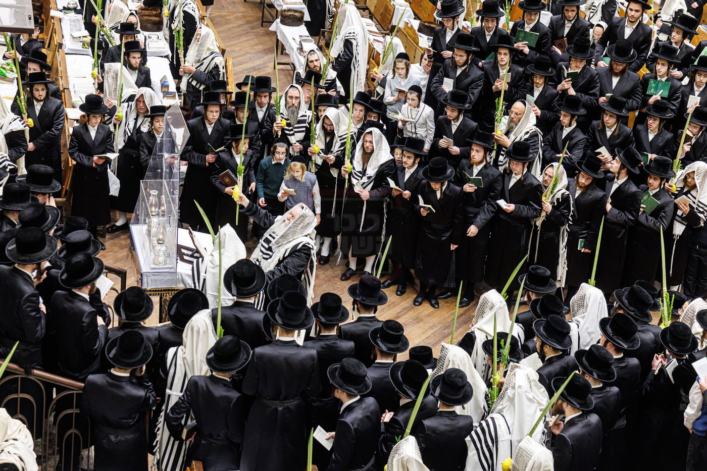 חג הסוכות ושמחת תורה בחצה"ק באבוב