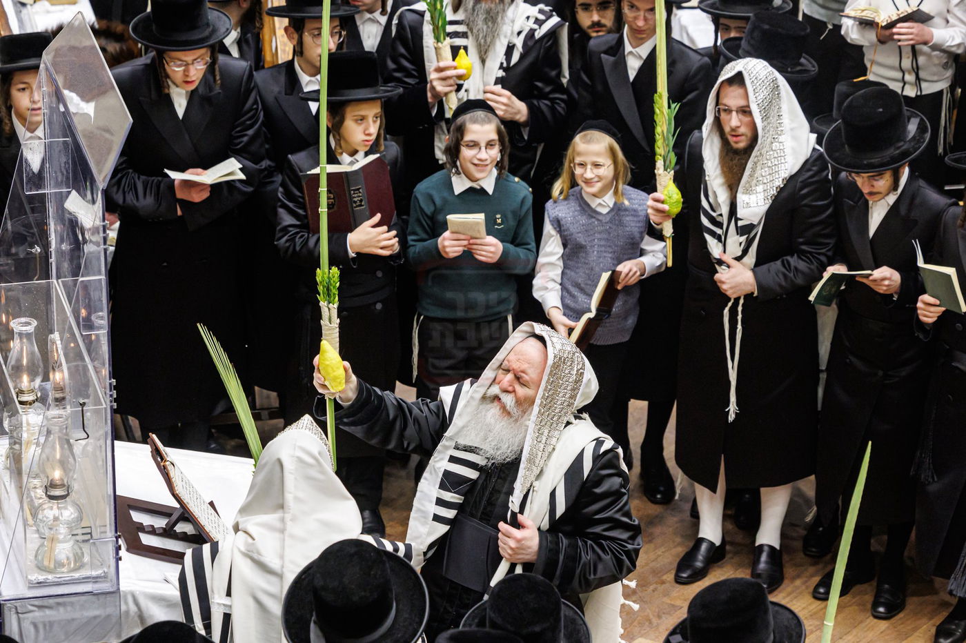 חג הסוכות ושמחת תורה בחצה"ק באבוב