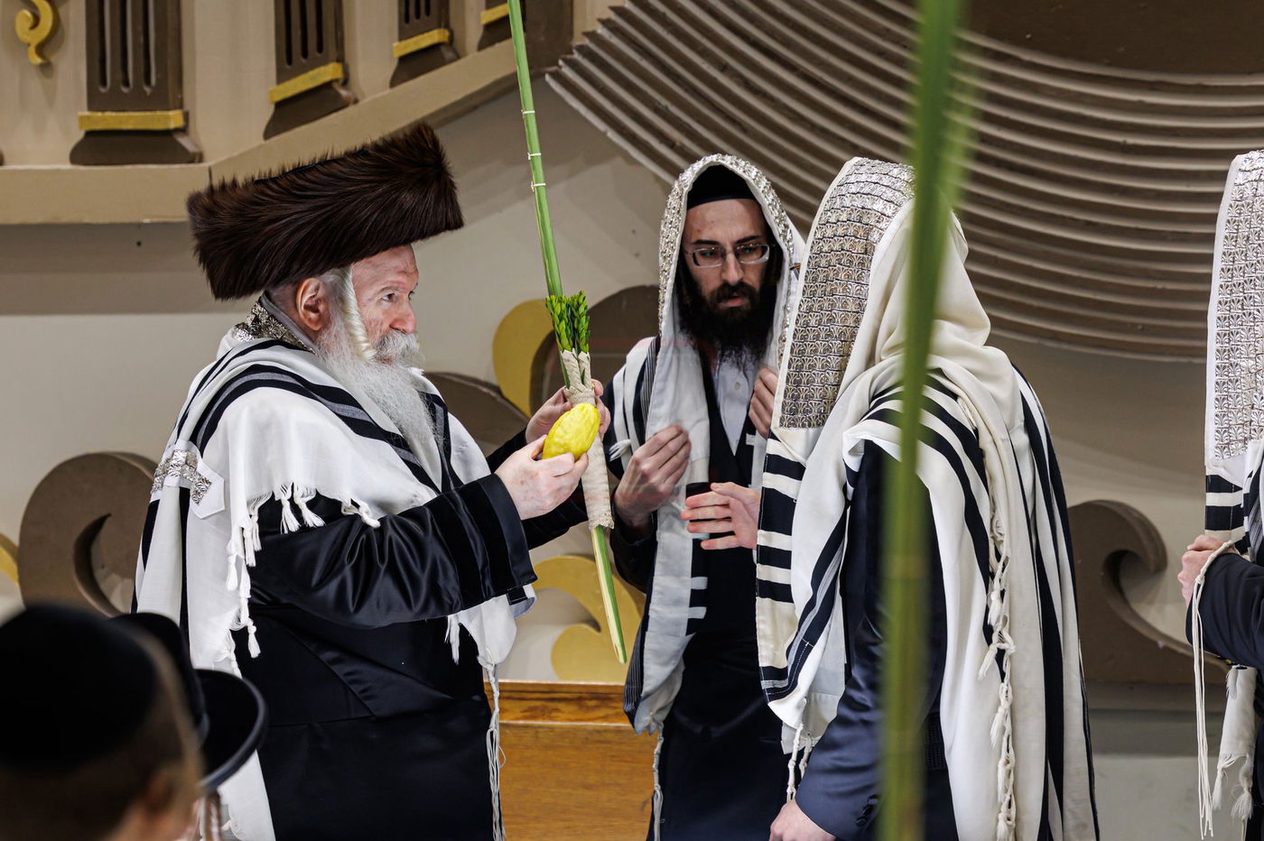 חג הסוכות ושמחת תורה בחצה"ק באבוב