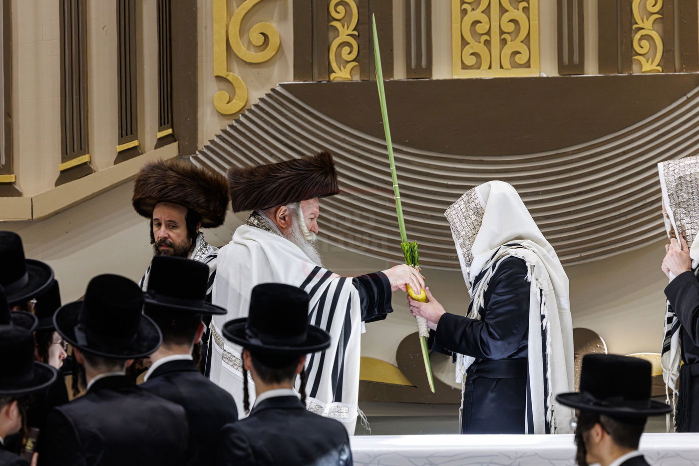 חג הסוכות ושמחת תורה בחצה"ק באבוב