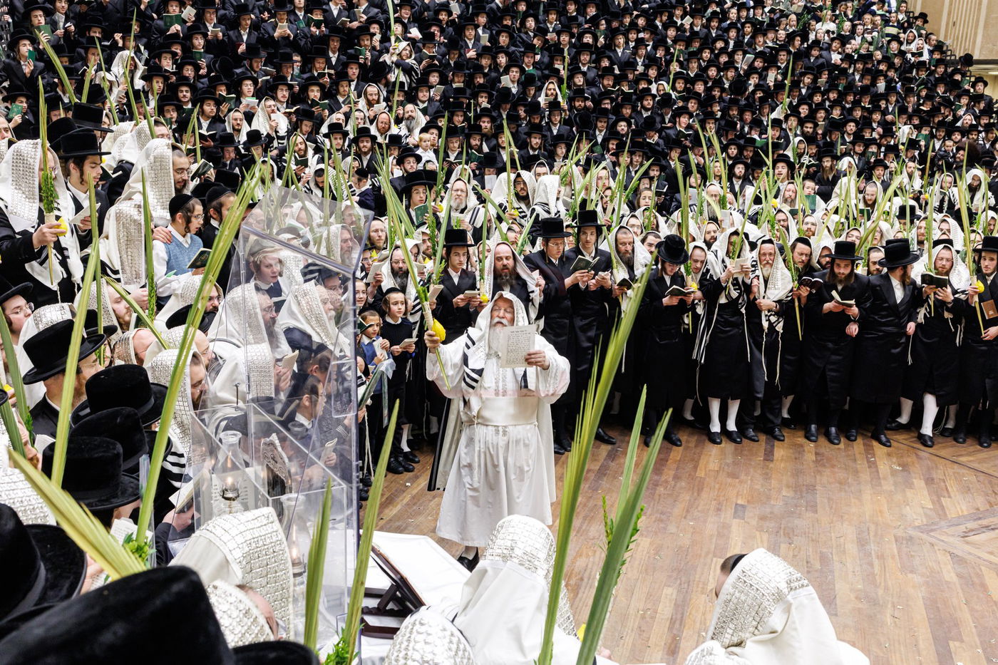 הושענא רבה בחצה"ק באבוב