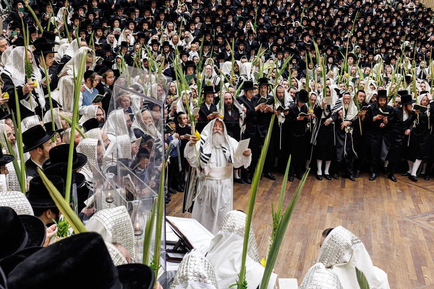 הושענא רבה בחצה"ק באבוב