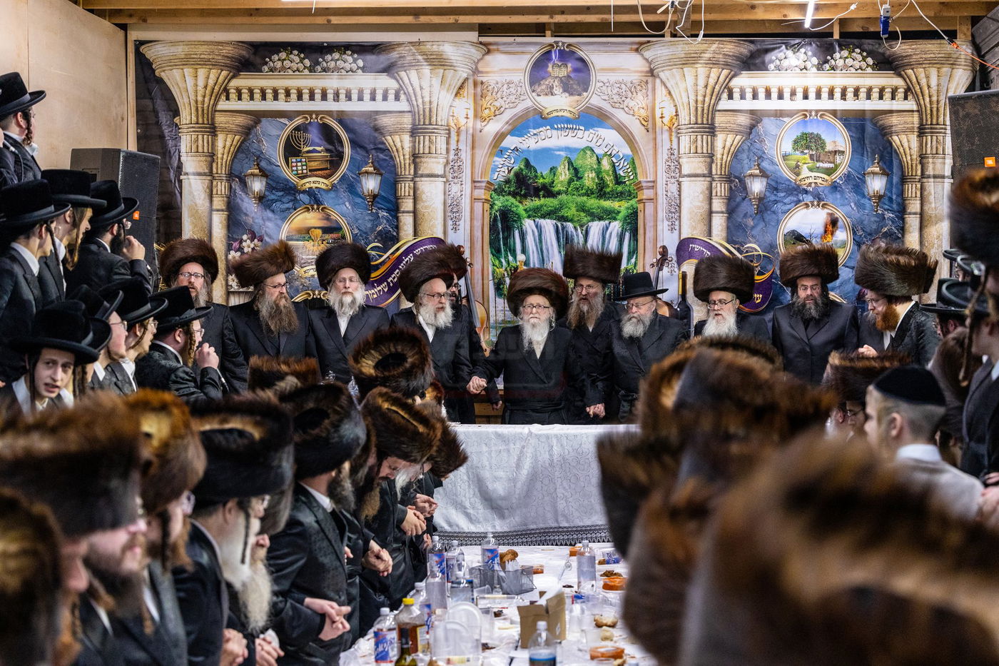 חג הסוכות בצל האדמו"ר מסערדאהעלי 